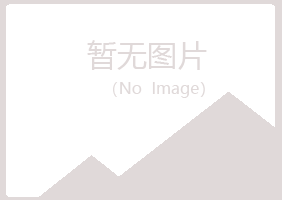 宁夏字迹美容有限公司